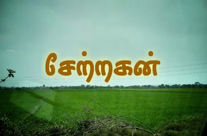 சேற்றகன்